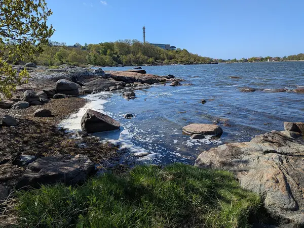 Studentviken, badplats